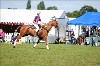 UKPA NC SAT_2307